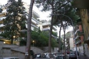 Il Codacons contro il Comune e il 19esimo Municipio per l'abbattimento e la potatura degli alberi di viale Tito Livio a Roma