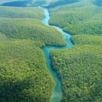 Network nazionale della biodiversità