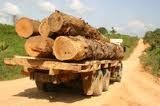 Il Brasile cede l'Amazzonia alle compagnie del legno