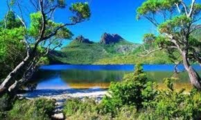 In Tasmania: fine delle ostilità tra industria del legno e ambientalisti