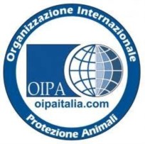 Video botticelle; conferenza stampa del 25 ottobre a Roma