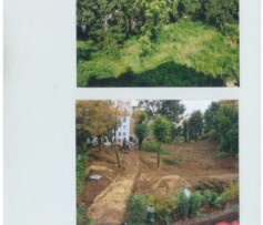 Appello della scrittrice Angela Bianchini in difesa dell'area verde e archeologica di Via Micheli