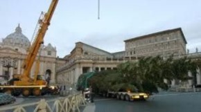 Arriva da Bressanone l'albero tagliato per il Papa