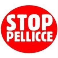Manifestazione Nazionale contro l'industria della pelliccia