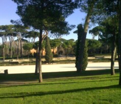 Spettacolo fantastico... malgrado tutto