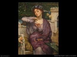 L'amore per un passero