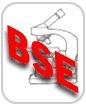 Vittima BSE; gli allevatori dicono storia vecchia. Meglio la scelta vegetariana!!