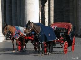 Botticelle romane: denunciato il vetturino trasgressore ed i vigili urbani, diffidato il Sindaco di Roma