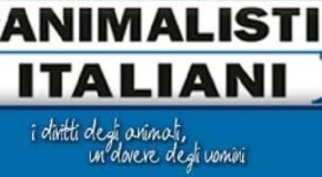 Animalisti Italiani denunciano l'inaugurazione di un megacquario a Jesolo