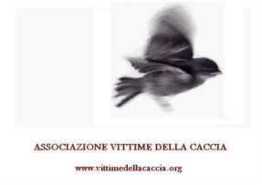 Caccia: La scomoda verità dei numeri delle vittime indigna il mondo venatorio