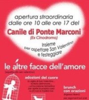 Quando un canile aspetta un altro San Valentino