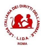 FESTA DEL GATTO al Gattile Azalea di Roma il 20 febbraio