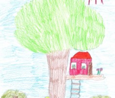 Alberi per la nostra scuola