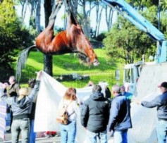 LAV: presidio di protesta contro le botticelle