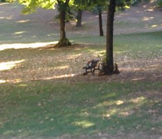 Se Villa Borghese diventa un dormitorio