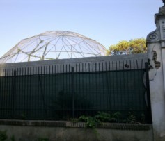 Un muro di cemento nel Bioparco per la casa degli oranghi