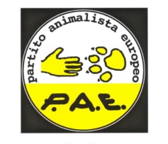 Roma, botti di Capodanno: denunciato dal PAE il sindaco Alemanno