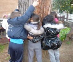 Progetto amico albero