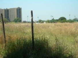Progetto Amico Albero. Piantumazione di Parco Somaini del VI Municipio di Roma
