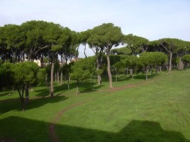 Incontro pubblico sul Parco del Pineto a Roma