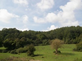 Campagna di pulizia nelle Valli del Sorbo