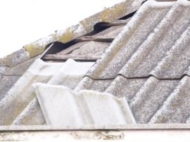 ROMA - AMIANTO, Benvenuti: Fare Ambiente Lazio denuncia presenza tetti di amianto su palazzi Enasarco