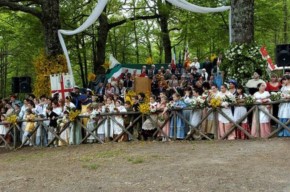 Lo sposalizio dell'albero a Vetralla