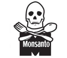 OLANDA: Principale stabilimento della Monsanto fatto chiudere dagli attivisti