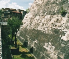 Alberi dimenticati...