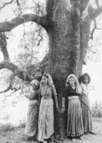 Abbracciare gli alberi: il movimento Chipko