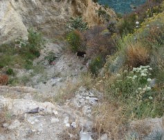 Ponza: discarica amianto a Chiaia di Luna