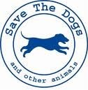 UCCISIONI AL CANILE DI COSTANZA IN ROMANIA : raccolte le prove, Save The Dogs all'attacco