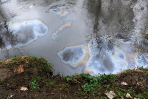 Altro sversamento di petrolio nel fiume Lambro